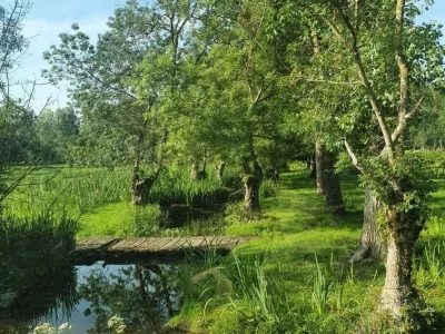 Autour des gîtes
